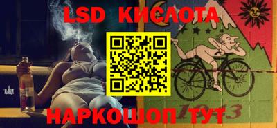 2c-b Кингисепп