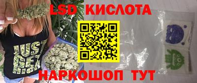 2c-b Кингисепп